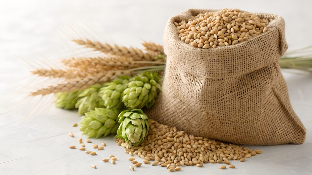 Grãos e lúpulo associados a coprodutos cervejeiros