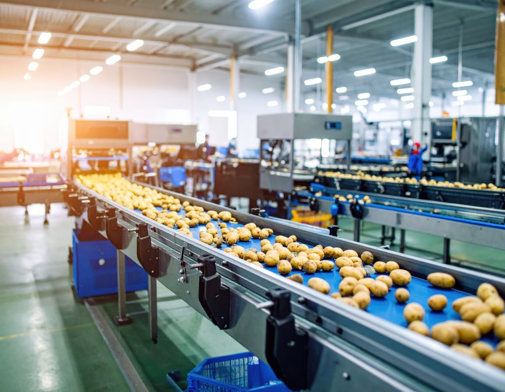 Linha de processamento de batatas