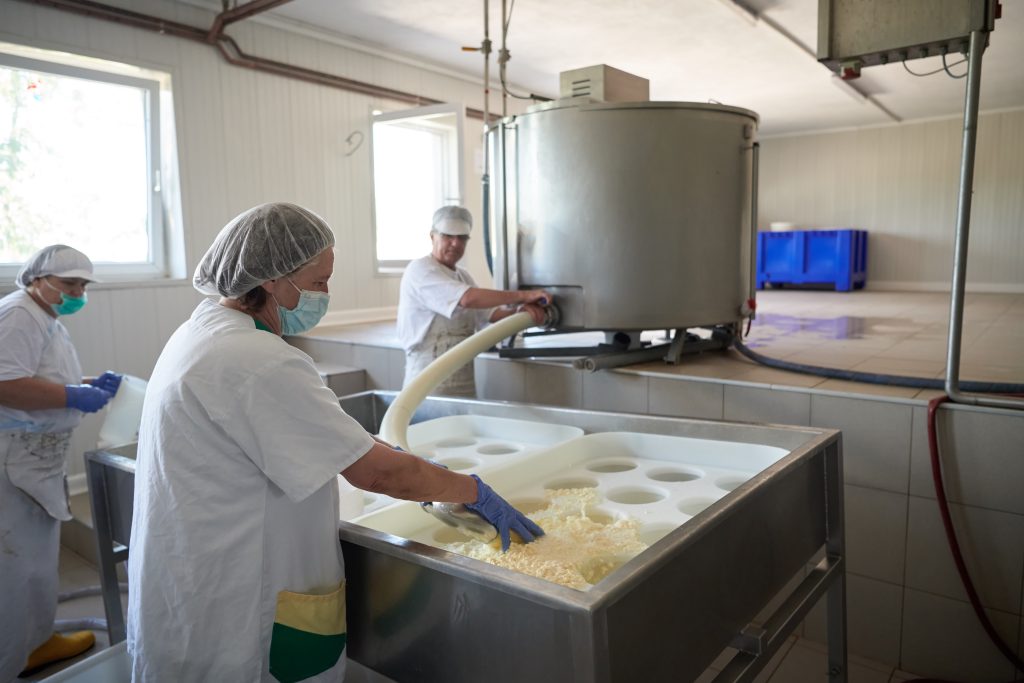 Processamento de leite para produção de queijo