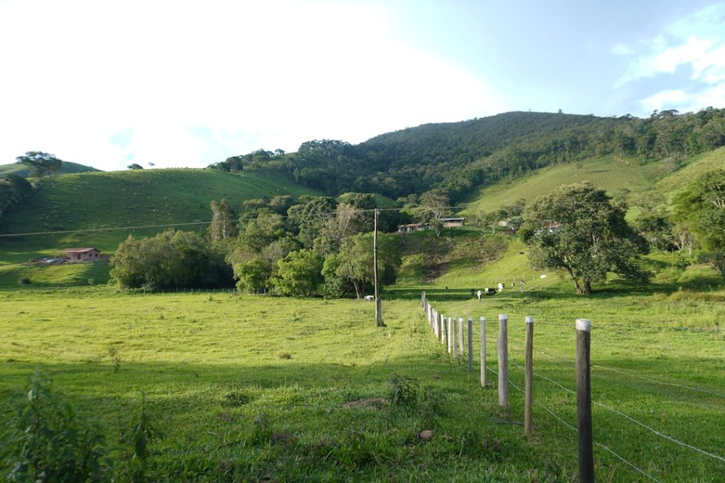 Semi-confinamento: uma prática cada vez mais adotada no agronegócio