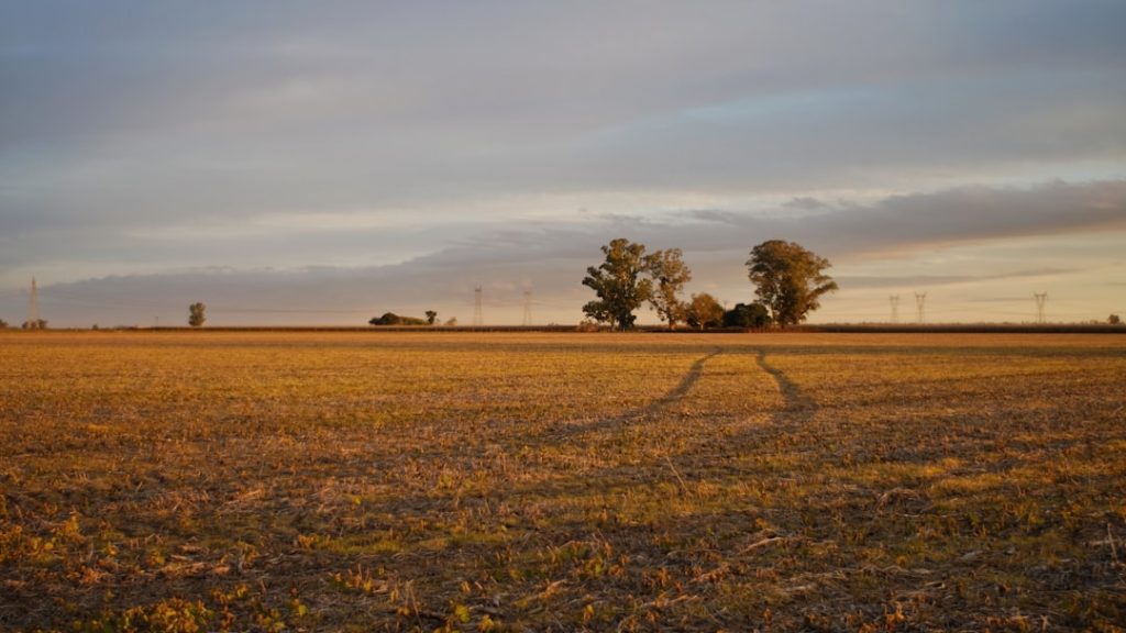 feed&food - Plataforma amplia comercialização de subprodutos do Agro no agronegócio