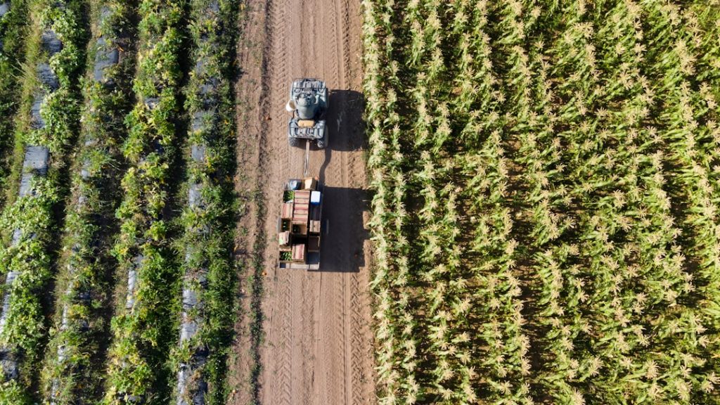 Arrendamento Rural no agronegócio