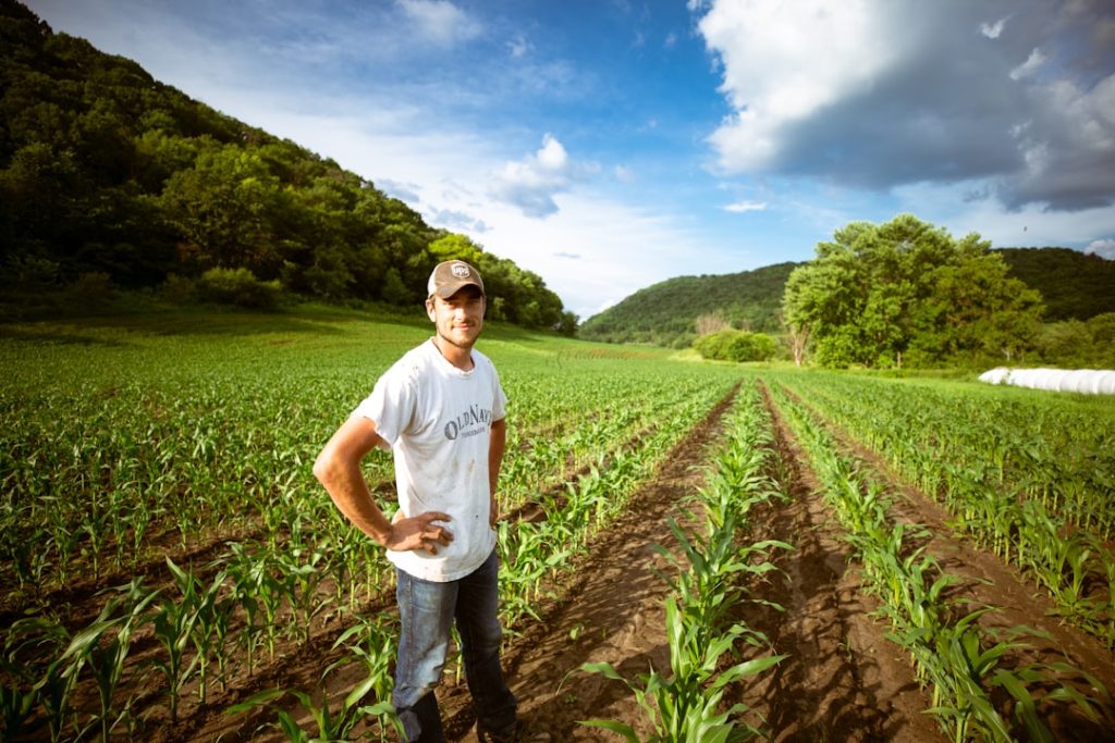 Como a nova lei do agro ajudou o agronegócio a driblar a pandemia no agronegócio