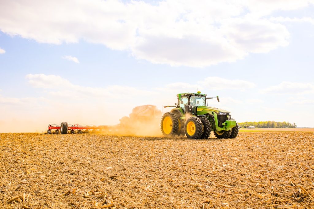 Diferentes suplementos podem contribuir para sucesso da produção pecuária no agronegócio