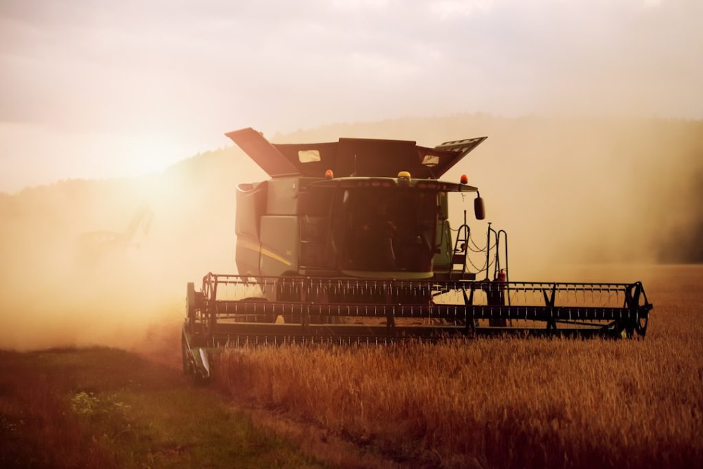Resíduo de cevada é mais vantajoso que milho como forragem no agronegócio