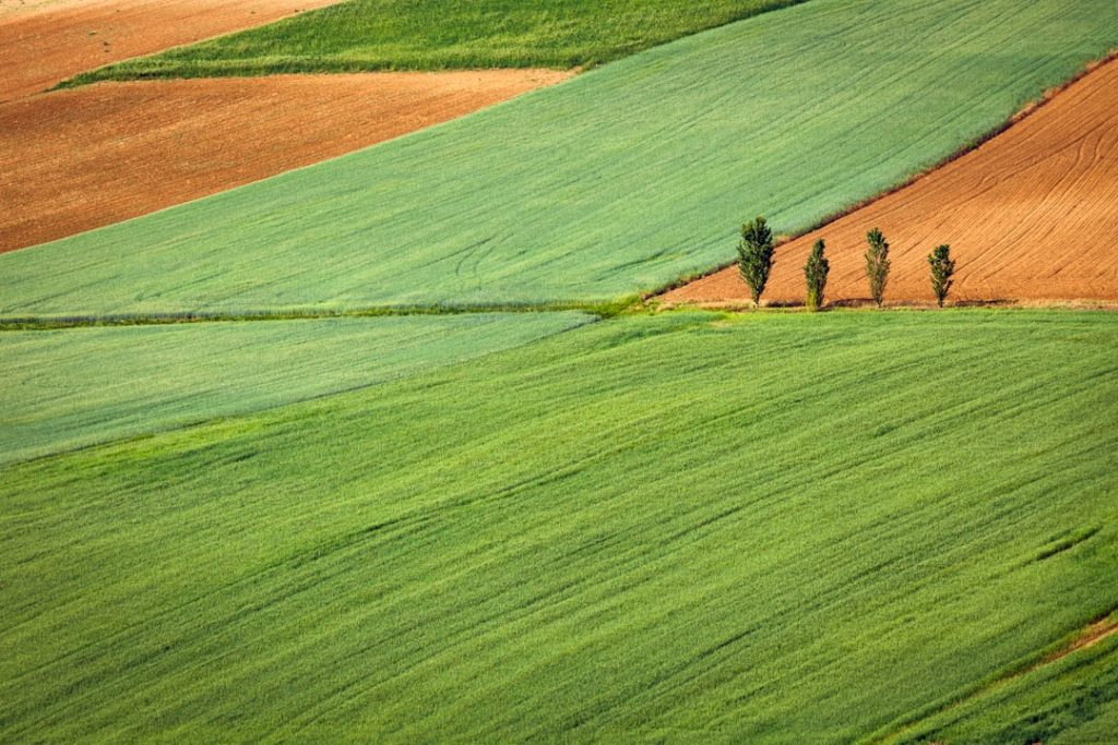 Marfrig abre 600 vagas de emprego em Várzea Grande no agronegócio