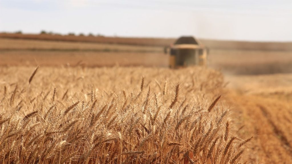 Aproveitamento de resíduos de colheita e coprodutos agrícolas