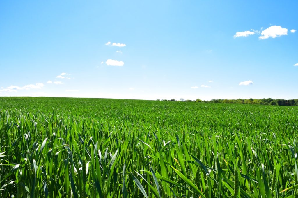 Práticas sustentáveis e produção integrada no agronegócio