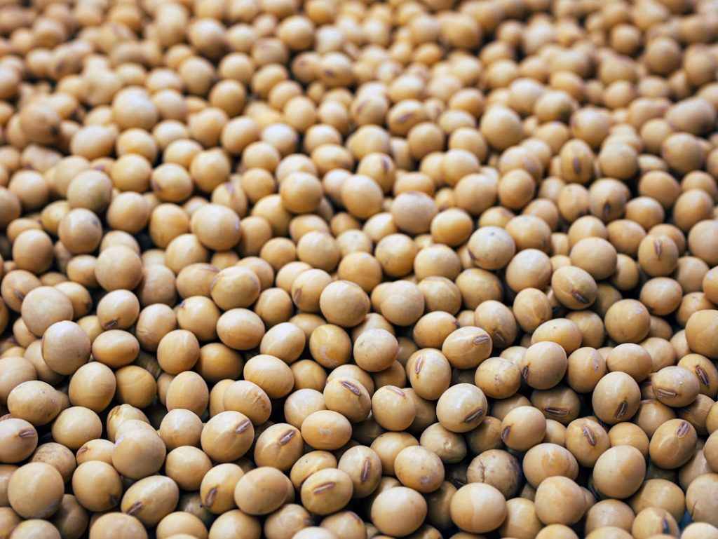 Casca, farelo e coprodutos da soja na nutrição animal