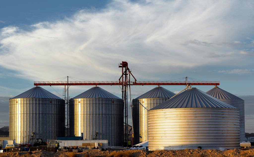 Estoque de silagem e grãos para nutrição e valor de mercado