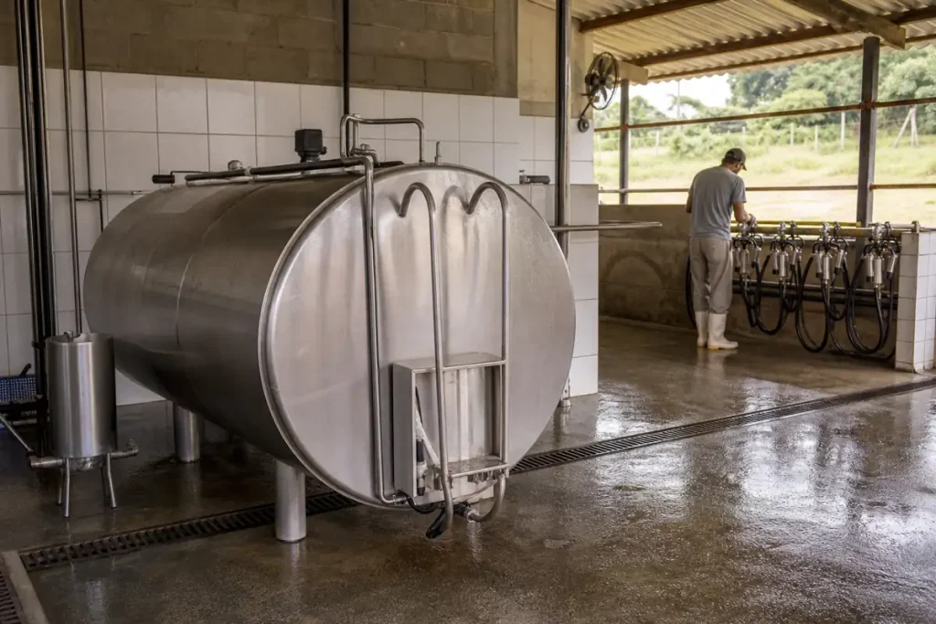 Tanque de expansão direta em sala de ordenha rural, usado para resfriamento do leite.
