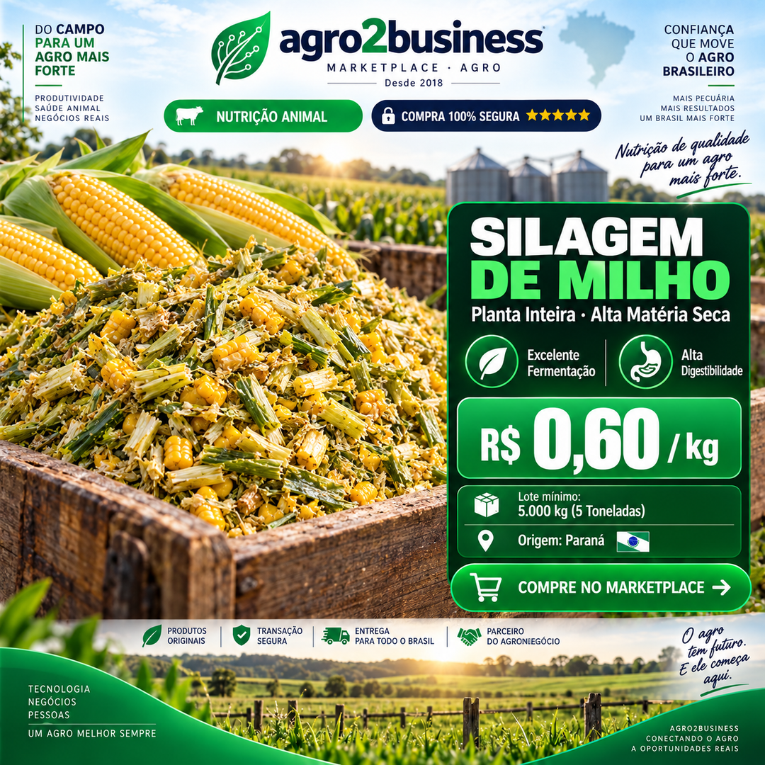 Oportunidade Silagem de Milho R$ 0,60/kg Agro2Business